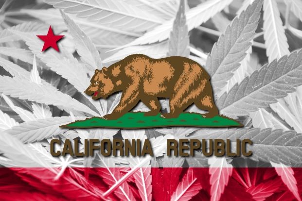 Cannabis Sales In California To Reach 7 2 Billion By 2024 Cannabis   AHR0cHM6Ly9naWVjZG4uYmxvYi5jb3JlLndpbmRvd3MubmV0L2ZpbGV1cGxvYWRzL2ltYWdlLzIwMTkvMDgvMTkvYWRvYmVzdG9ja19jYWxpZm9ybmlhLmpwZWc.6IFHb34iMvs 